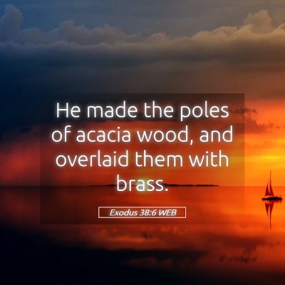 Picture 05 - Exodus 38:6 WEB - He made the poles of acacia wood, and overlaid - Bible Verse Picture