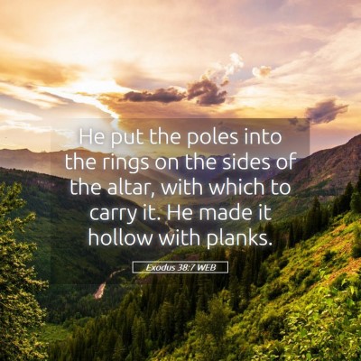 Picture 05 - Exodus 38:7 WEB - He put the poles into the rings on the sides of - Bible Verse Picture
