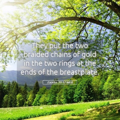 Picture 05 - Exodus 39:17 WEB - They put the two braided chains of gold in the - Bible Verse Picture
