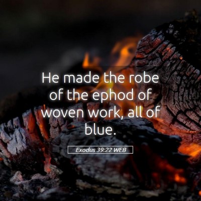 Picture 05 - Exodus 39:22 WEB - He made the robe of the ephod of woven work, all - Bible Verse Picture