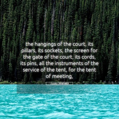 Picture 05 - Exodus 39:40 WEB - the hangings of the court, its pillars, its - Bible Verse Picture