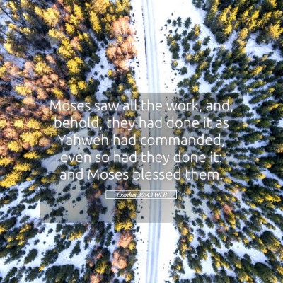 Picture 05 - Exodus 39:43 WEB - Moses saw all the work, and, behold, they had - Bible Verse Picture