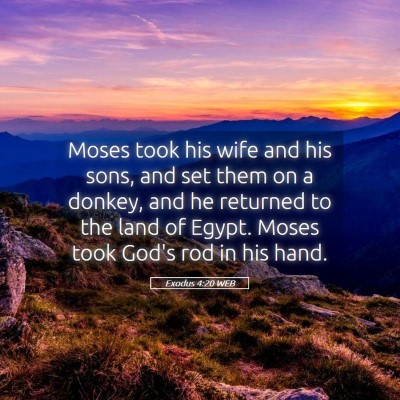 Picture 05 - Exodus 4:20 WEB - Moses took his wife and his sons, and set them on - Bible Verse Picture