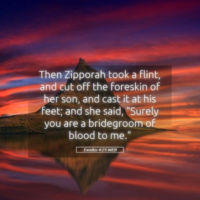 Picture 05 - Exodus 4:25 WEB - Then Zipporah took a flint, and cut off the - Bible Verse Picture