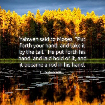 Picture 05 - Exodus 4:4 WEB - Yahweh said to Moses, 