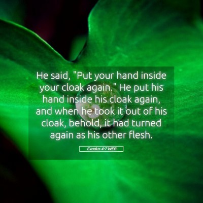 Picture 05 - Exodus 4:7 WEB - He said, 
