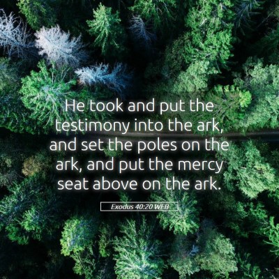 Picture 05 - Exodus 40:20 WEB - He took and put the testimony into the ark, and - Bible Verse Picture