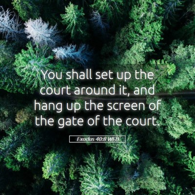 Picture 05 - Exodus 40:8 WEB - You shall set up the court around it, and hang up - Bible Verse Picture