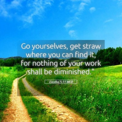 Picture 05 - Exodus 5:11 WEB - Go yourselves, get straw where you can find it, - Bible Verse Picture