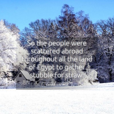 Picture 05 - Exodus 5:12 WEB - So the people were scattered abroad throughout - Bible Verse Picture
