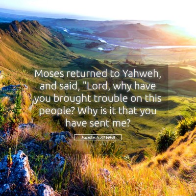 Picture 05 - Exodus 5:22 WEB - Moses returned to Yahweh, and said, 