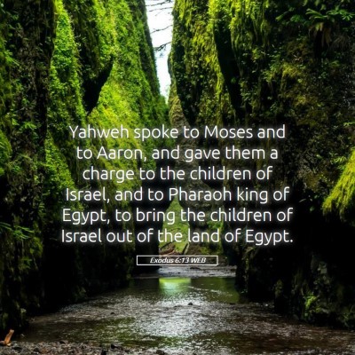 Picture 05 - Exodus 6:13 WEB - Yahweh spoke to Moses and to Aaron, and gave them - Bible Verse Picture