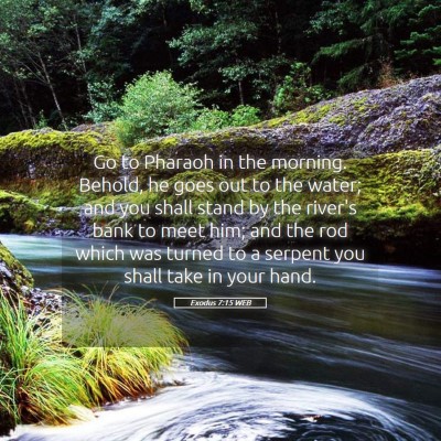 Picture 05 - Exodus 7:15 WEB - Go to Pharaoh in the morning. Behold, he goes out - Bible Verse Picture