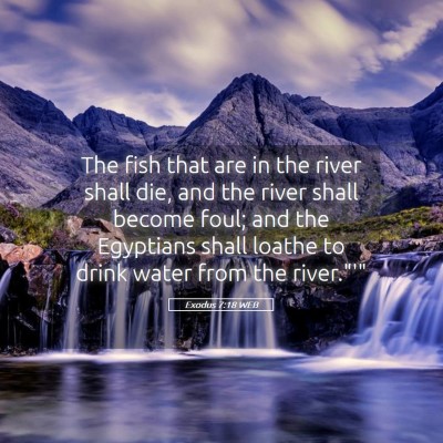 Picture 05 - Exodus 7:18 WEB - The fish that are in the river shall die, and the - Bible Verse Picture