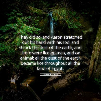 Picture 05 - Exodus 8:17 WEB - They did so; and Aaron stretched out his hand - Bible Verse Picture