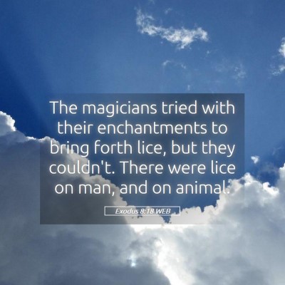 Picture 05 - Exodus 8:18 WEB - The magicians tried with their enchantments to - Bible Verse Picture
