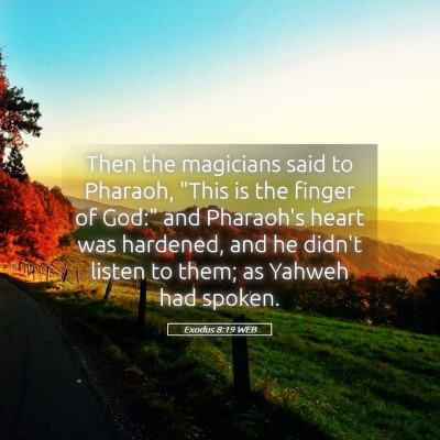 Picture 05 - Exodus 8:19 WEB - Then the magicians said to Pharaoh, 