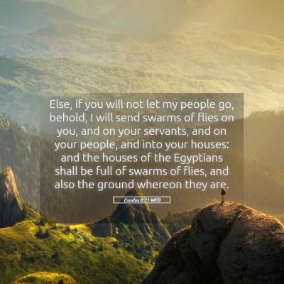 Picture 05 - Exodus 8:21 WEB - Else, if you will not let my people go, behold, I - Bible Verse Picture