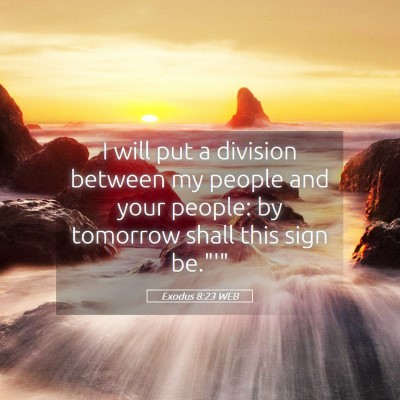 Picture 05 - Exodus 8:23 WEB - I will put a division between my people and your - Bible Verse Picture