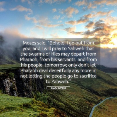 Picture 05 - Exodus 8:29 WEB - Moses said, 