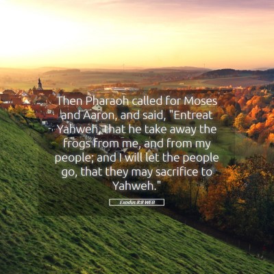 Picture 05 - Exodus 8:8 WEB - Then Pharaoh called for Moses and Aaron, and - Bible Verse Picture