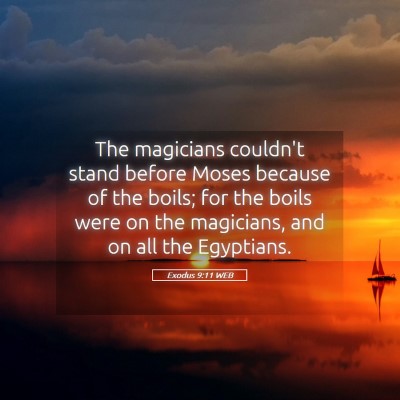 Picture 05 - Exodus 9:11 WEB - The magicians couldn't stand before Moses because - Bible Verse Picture
