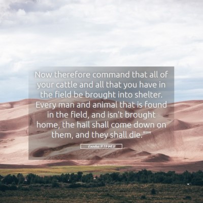Picture 05 - Exodus 9:19 WEB - Now therefore command that all of your cattle and - Bible Verse Picture