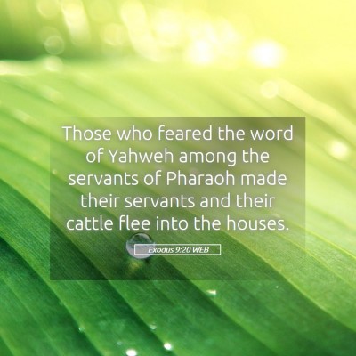 Picture 05 - Exodus 9:20 WEB - Those who feared the word of Yahweh among the - Bible Verse Picture