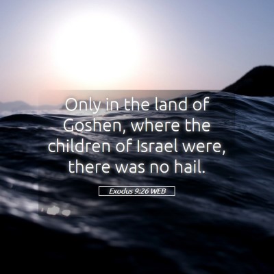 Picture 05 - Exodus 9:26 WEB - Only in the land of Goshen, where the children of - Bible Verse Picture