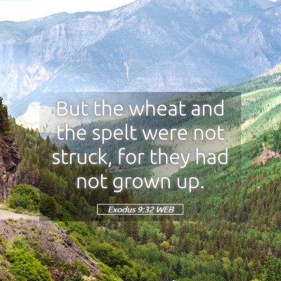 Picture 05 - Exodus 9:32 WEB - But the wheat and the spelt were not struck, for - Bible Verse Picture