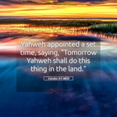 Picture 05 - Exodus 9:5 WEB - Yahweh appointed a set time, saying, 