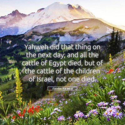 Picture 05 - Exodus 9:6 WEB - Yahweh did that thing on the next day; and all - Bible Verse Picture