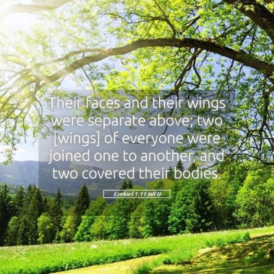 Picture 05 - Ezekiel 1:11 WEB - Their faces and their wings were separate above; - Bible Verse Picture