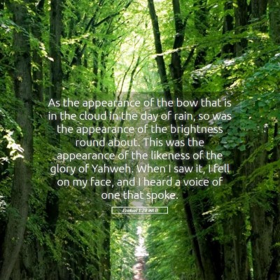Picture 05 - Ezekiel 1:28 WEB - As the appearance of the bow that is in the cloud - Bible Verse Picture