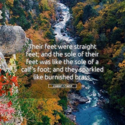 Picture 05 - Ezekiel 1:7 WEB - Their feet were straight feet; and the sole of - Bible Verse Picture