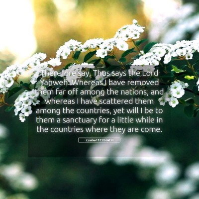 Picture 05 - Ezekiel 11:16 WEB - Therefore say, Thus says the Lord Yahweh: Whereas - Bible Verse Picture