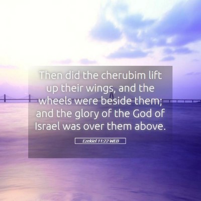 Picture 05 - Ezekiel 11:22 WEB - Then did the cherubim lift up their wings, and - Bible Verse Picture