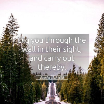 Picture 05 - Ezekiel 12:5 WEB - Dig you through the wall in their sight, and - Bible Verse Picture