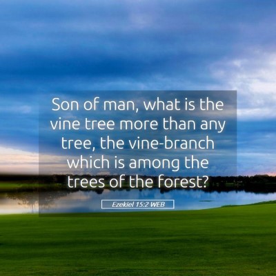 Picture 05 - Ezekiel 15:2 WEB - Son of man, what is the vine tree more than any - Bible Verse Picture