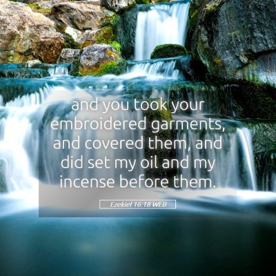 Picture 05 - Ezekiel 16:18 WEB - and you took your embroidered garments, and - Bible Verse Picture