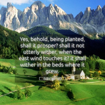 Picture 05 - Ezekiel 17:10 WEB - Yes, behold, being planted, shall it prosper? - Bible Verse Picture