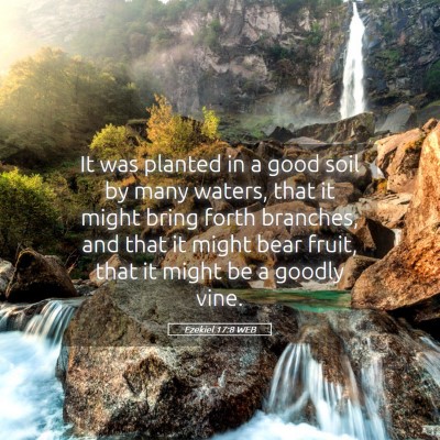 Picture 05 - Ezekiel 17:8 WEB - It was planted in a good soil by many waters, - Bible Verse Picture
