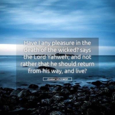 Picture 05 - Ezekiel 18:23 WEB - Have I any pleasure in the death of the wicked? - Bible Verse Picture