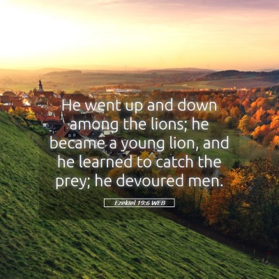 Picture 05 - Ezekiel 19:6 WEB - He went up and down among the lions; he became a - Bible Verse Picture