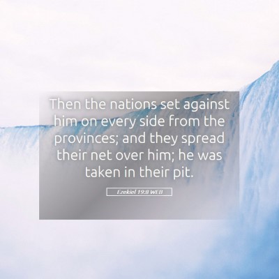 Picture 05 - Ezekiel 19:8 WEB - Then the nations set against him on every side - Bible Verse Picture