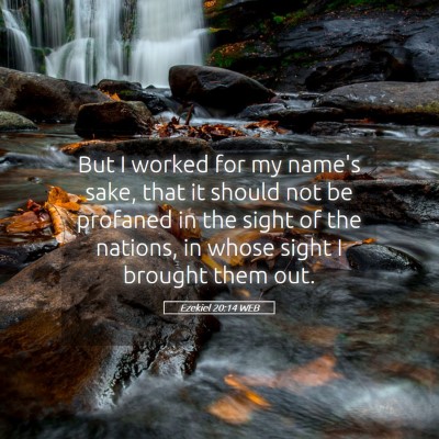 Picture 05 - Ezekiel 20:14 WEB - But I worked for my name's sake, that it should - Bible Verse Picture