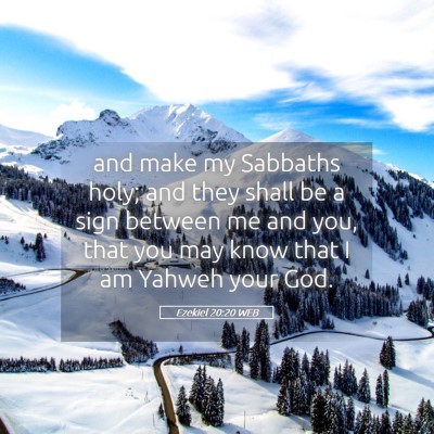 Picture 05 - Ezekiel 20:20 WEB - and make my Sabbaths holy; and they shall be a - Bible Verse Picture