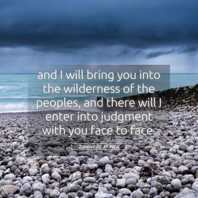 Picture 05 - Ezekiel 20:35 WEB - and I will bring you into the wilderness of the - Bible Verse Picture