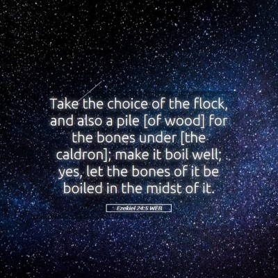 Picture 05 - Ezekiel 24:5 WEB - Take the choice of the flock, and also a pile [of - Bible Verse Picture