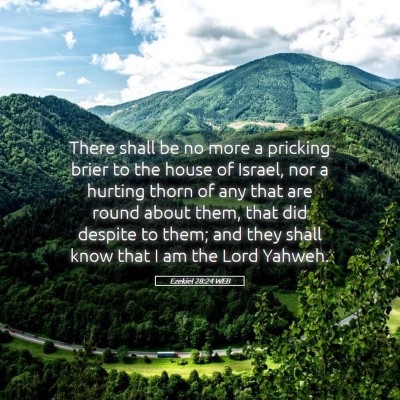Picture 05 - Ezekiel 28:24 WEB - There shall be no more a pricking brier to the - Bible Verse Picture